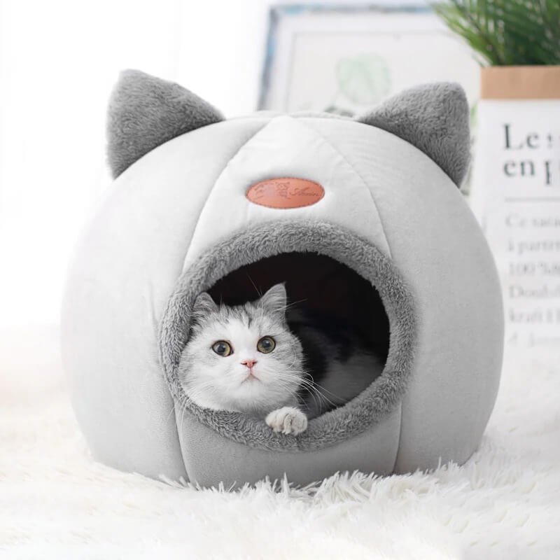 UooneeQ™ Bed For Cat Pet 11 | UooneeQ™ Technologies Bed for Cat Pet