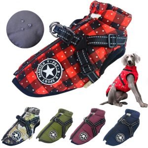 Dog Winter Coat - Raincoat (19)